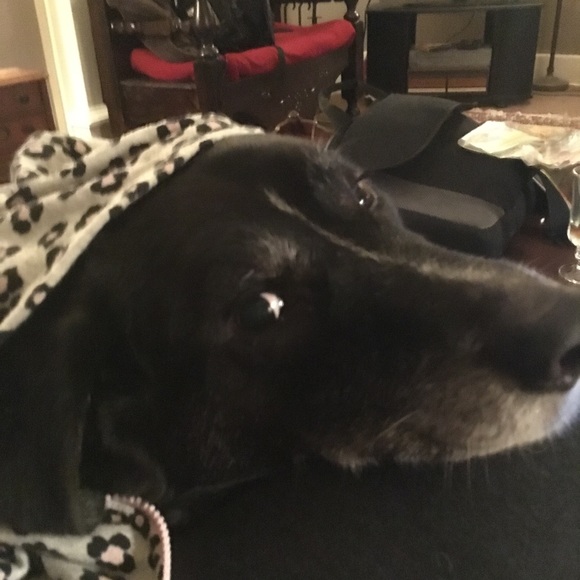 Meet your Posher, Michanie - Picture 1 of 1